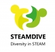 DIVERSITY IN STEAM